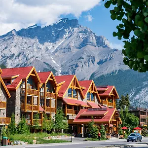 Moose And 4*, Banff Canada